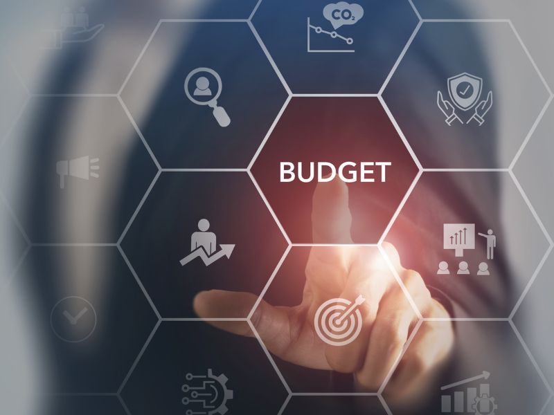 grafico con budget